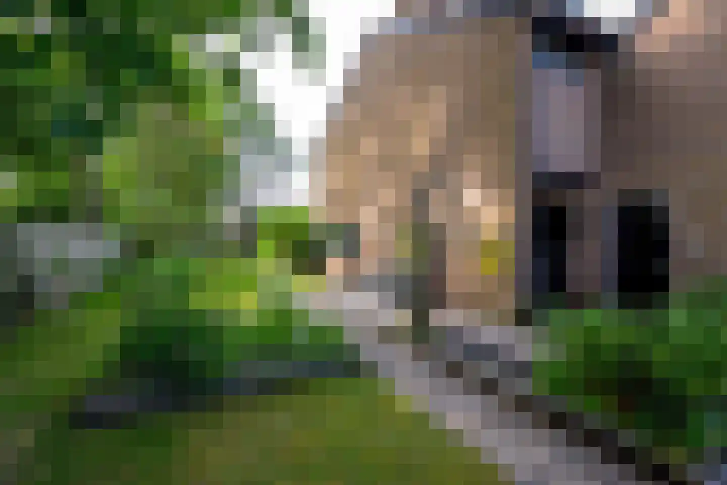 Aak 110 Wieringerwerf thumbnail 32