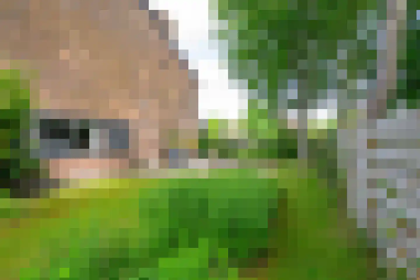 Aak 110 Wieringerwerf thumbnail 40