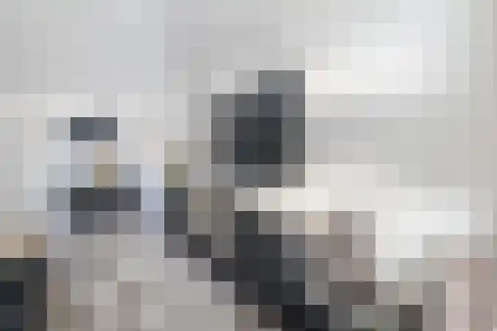 Aak 12 Bunschoten-Spakenburg thumbnail 11