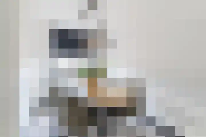 Aak 12 Bunschoten-Spakenburg thumbnail 16