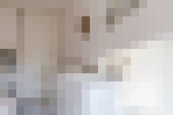 Aak 12 Bunschoten-Spakenburg thumbnail 33