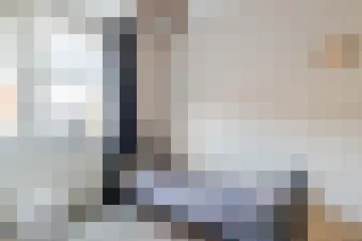 Aak 12 Bunschoten-Spakenburg thumbnail 34