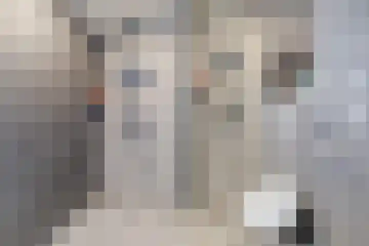 Aak 12 Bunschoten-Spakenburg thumbnail 37
