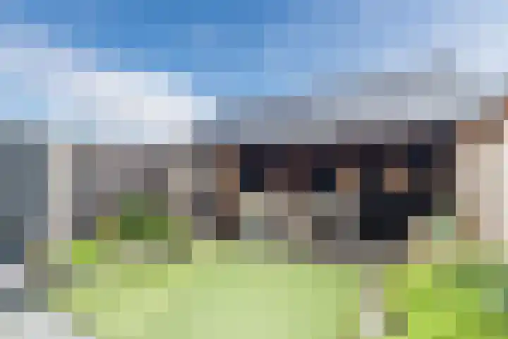 Aak 12 Bunschoten-Spakenburg thumbnail 45