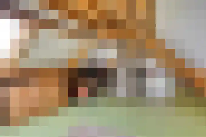 Aak 12 Heerenveen thumbnail 27
