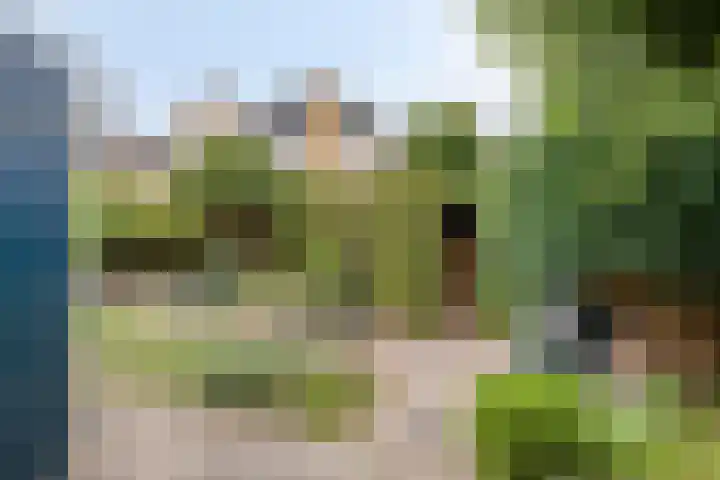 Aak 12 Heerenveen thumbnail 31