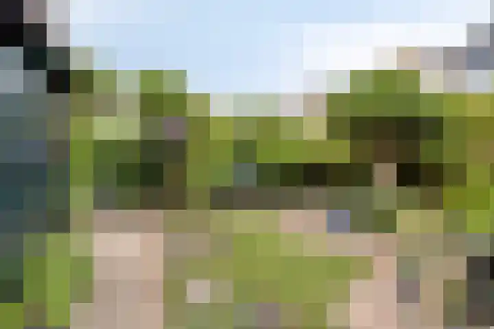 Aak 12 Heerenveen thumbnail 32