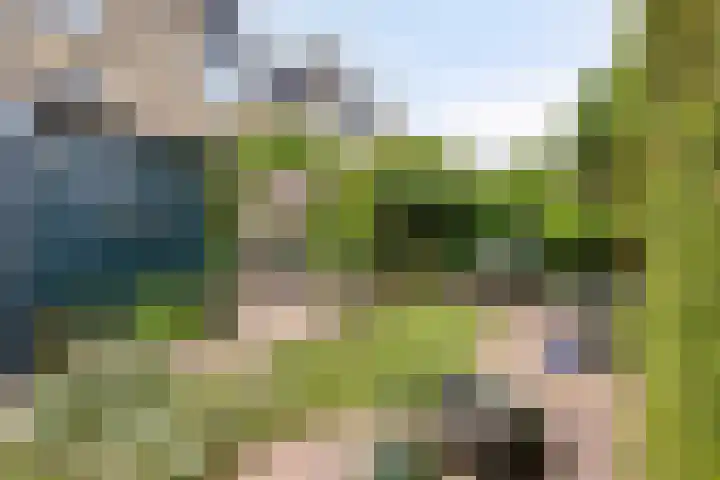 Aak 12 Heerenveen thumbnail 33