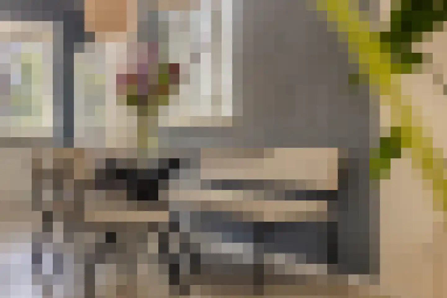 Aak 14 Meppel thumbnail 16