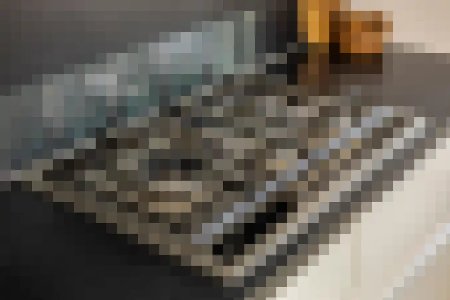 Aak 14 Meppel thumbnail 24