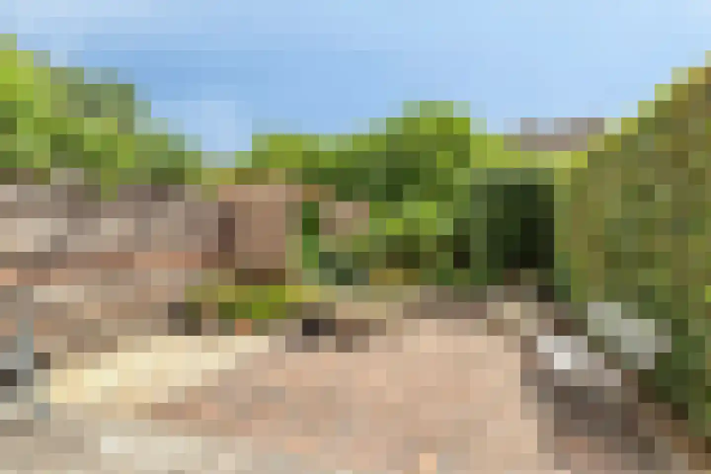 Aak 15 Oude Wetering thumbnail 21