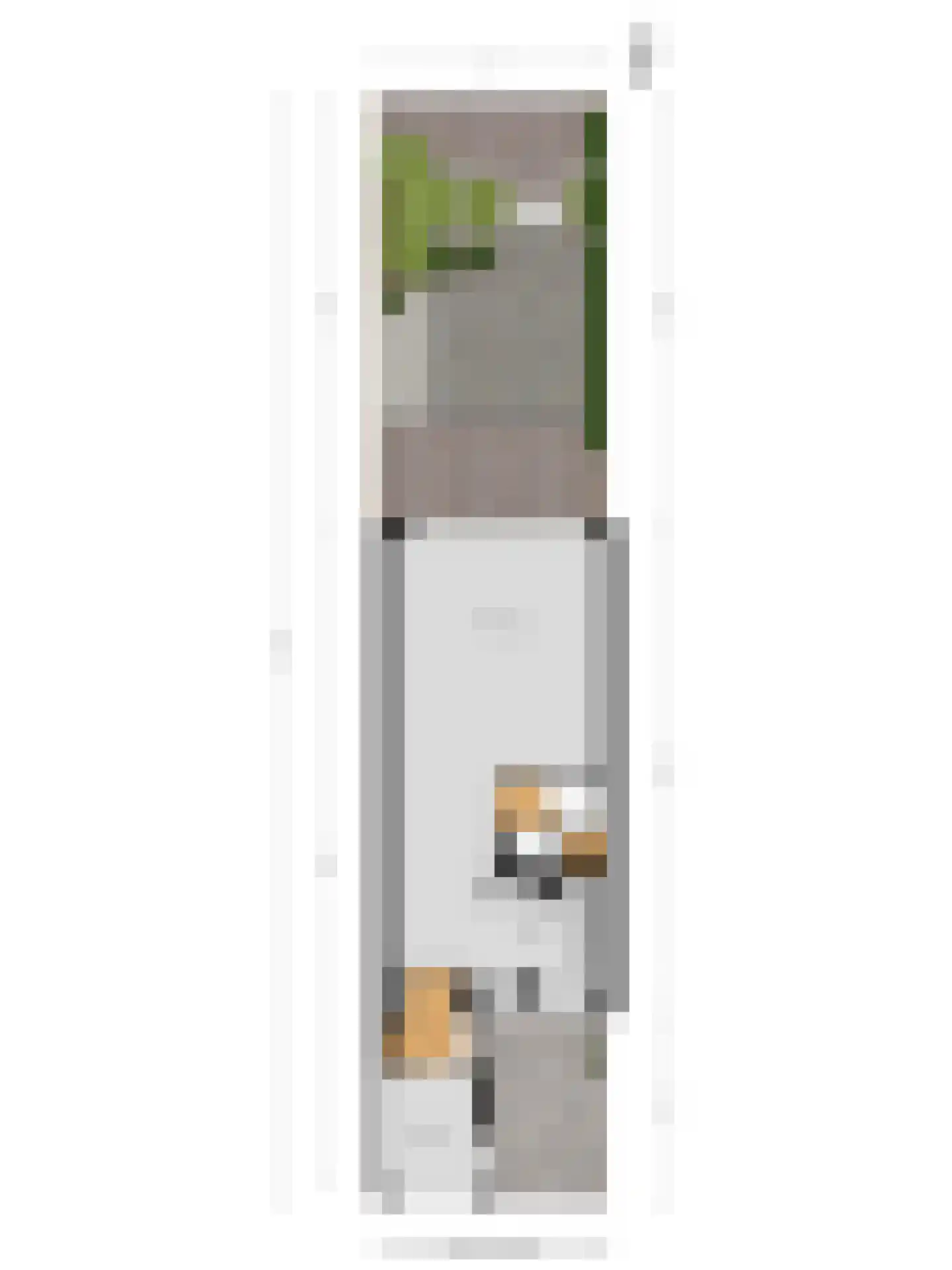 Aak 15 Oude Wetering thumbnail 26