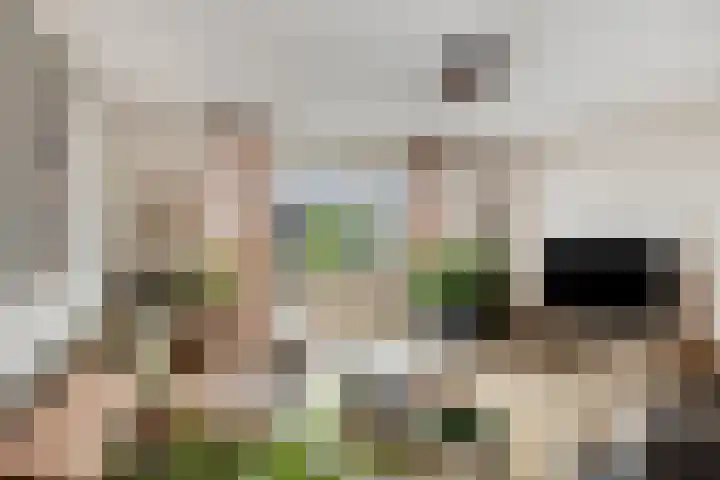 Aak 17 Spijkenisse thumbnail 12