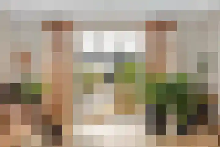 Aak 17 Spijkenisse thumbnail 13