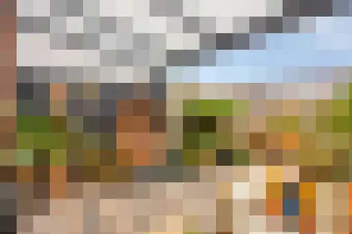 Aak 17 Spijkenisse thumbnail 16