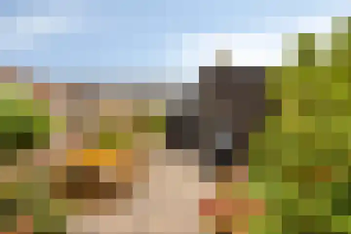 Aak 17 Spijkenisse thumbnail 17