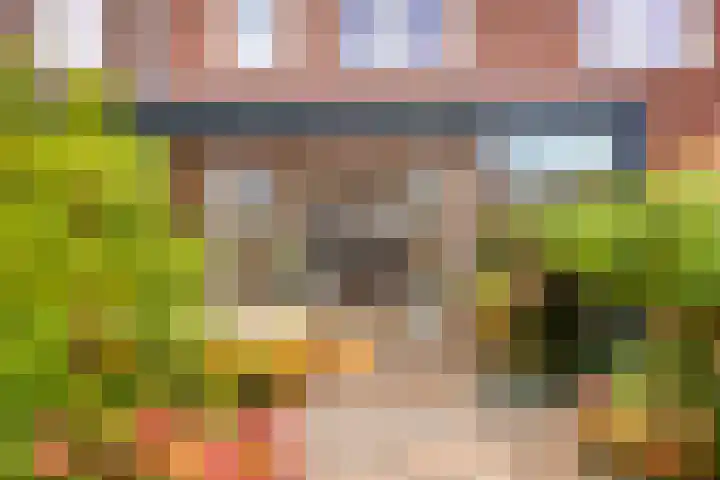 Aak 17 Spijkenisse thumbnail 18