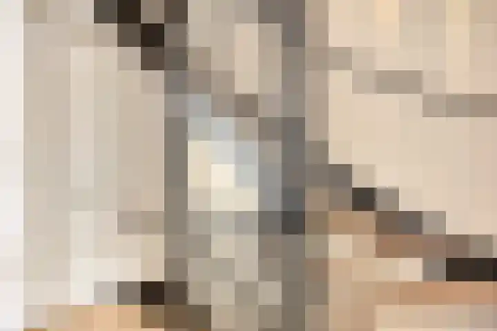 Aak 17 Spijkenisse thumbnail 25