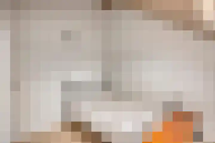 Aak 17 Spijkenisse thumbnail 26