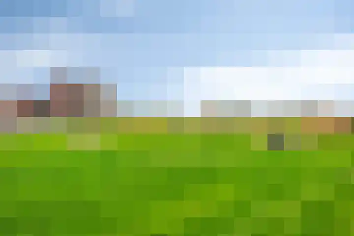 Aak 17 Spijkenisse thumbnail 33