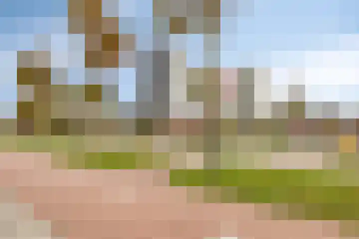 Aak 17 Spijkenisse thumbnail 34