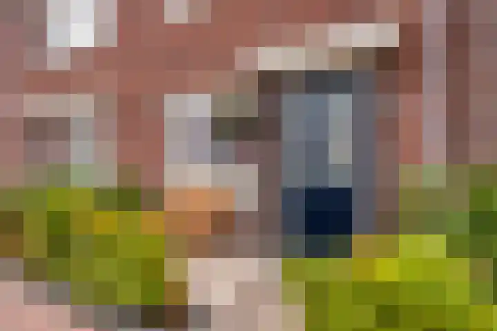 Aak 17 Spijkenisse thumbnail 5