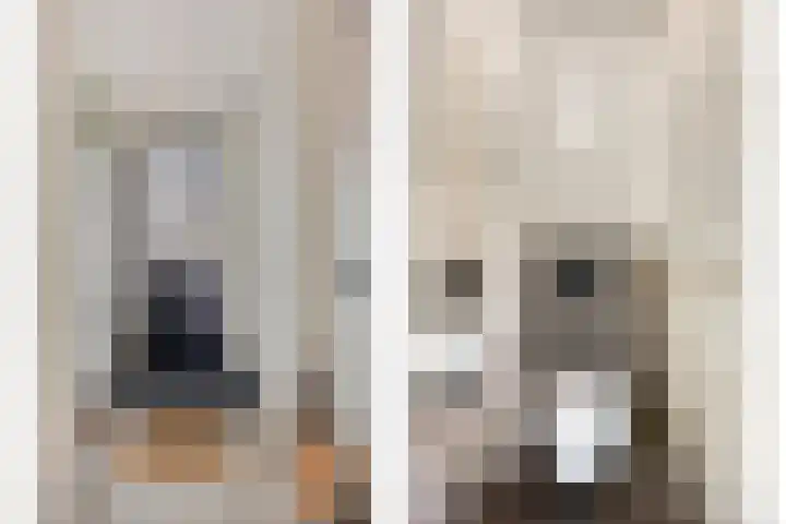 Aak 17 Spijkenisse thumbnail 6