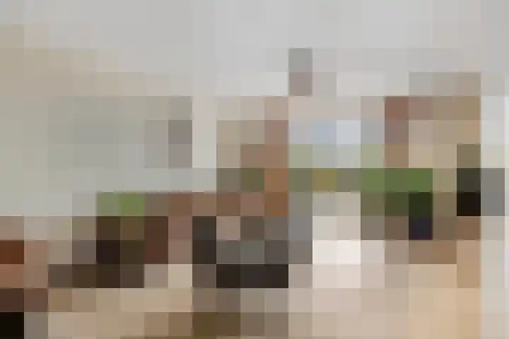 Aak 17 Spijkenisse thumbnail 8
