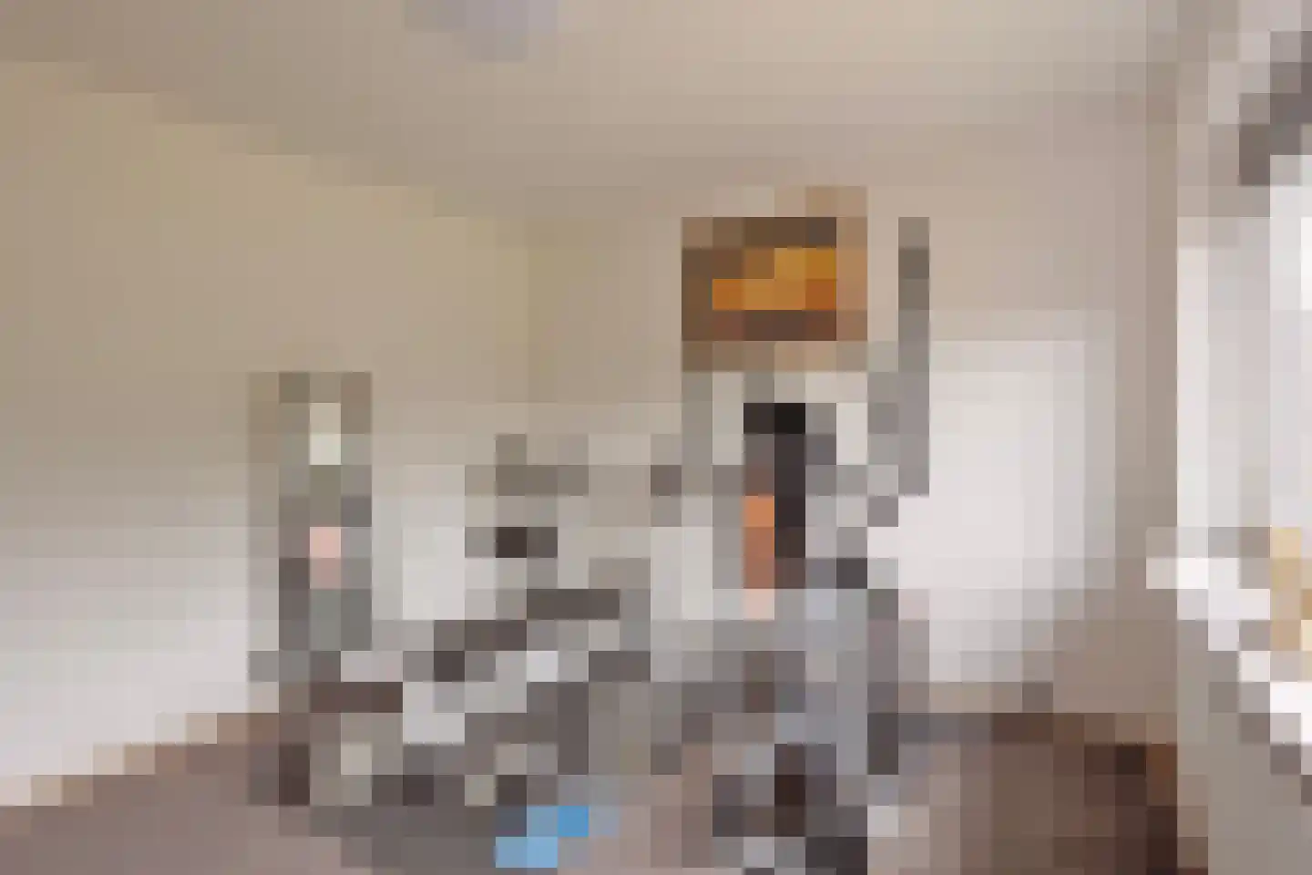 Aak 189 Wieringerwerf thumbnail 23