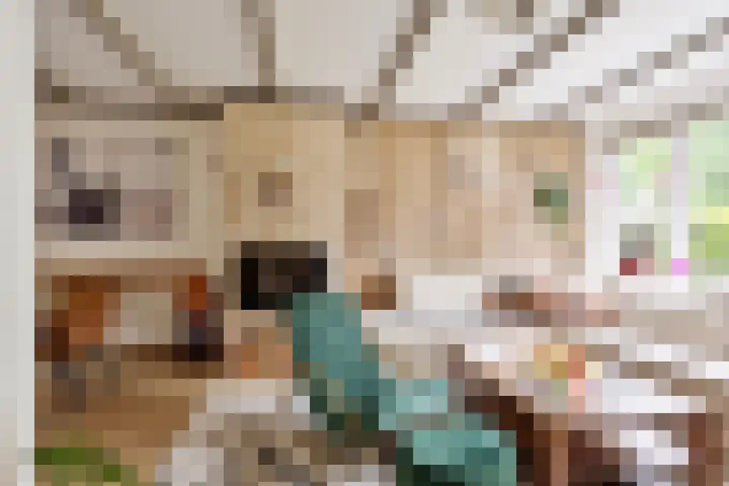 Aak 189 Wieringerwerf thumbnail 5