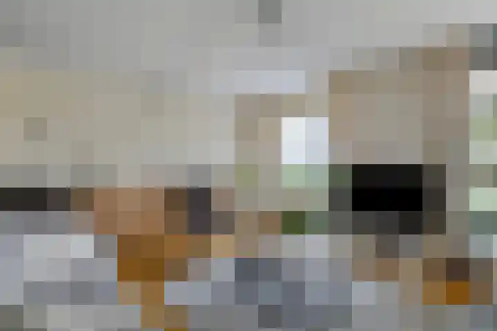 Aak 19 Bergen op Zoom thumbnail 10