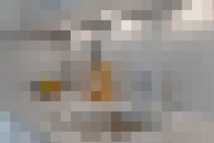 Aak 19 Bergen op Zoom thumbnail 13