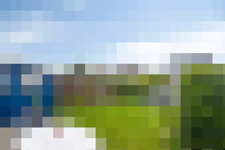 Aak 19 Bergen op Zoom thumbnail 32
