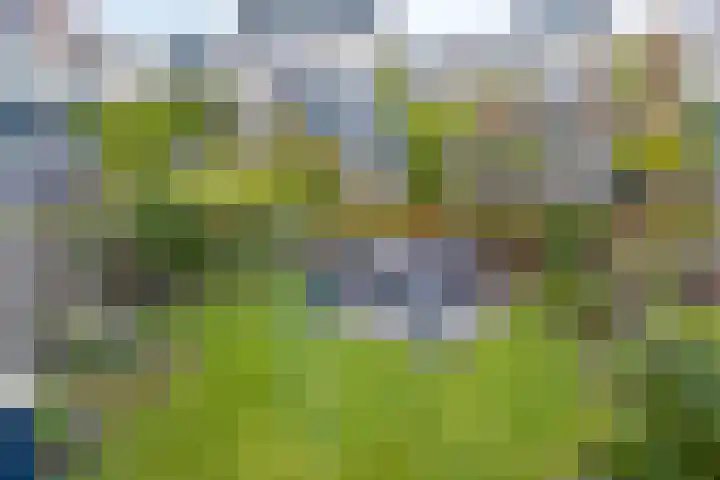 Aak 19 Bergen op Zoom thumbnail 33