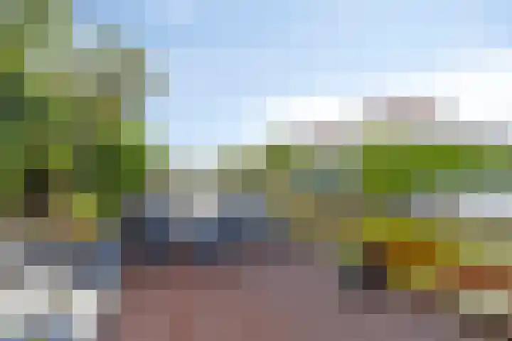 Aak 19 Bergen op Zoom thumbnail 35