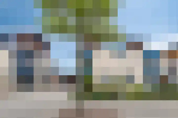 Aak 19 Bergen op Zoom thumbnail 37