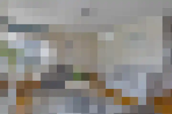 Aak 19 Bergen op Zoom thumbnail 4