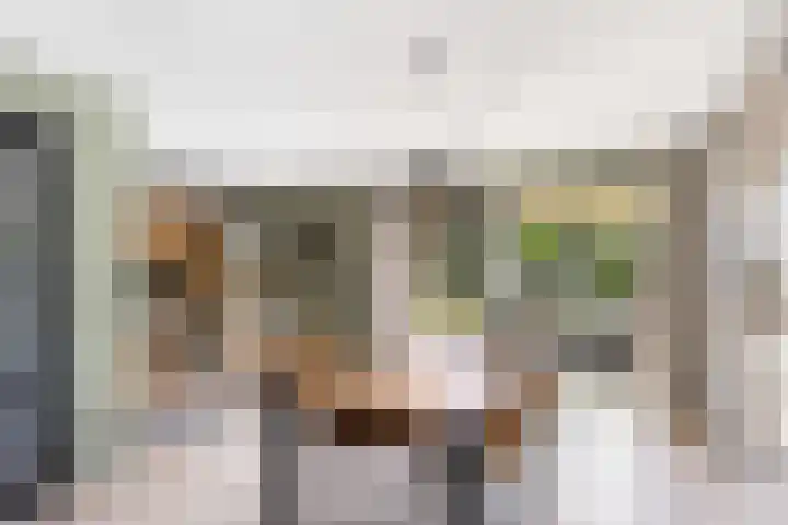 Aak 20 Gorredijk thumbnail 13