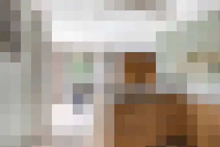 Aak 20 Gorredijk thumbnail 18
