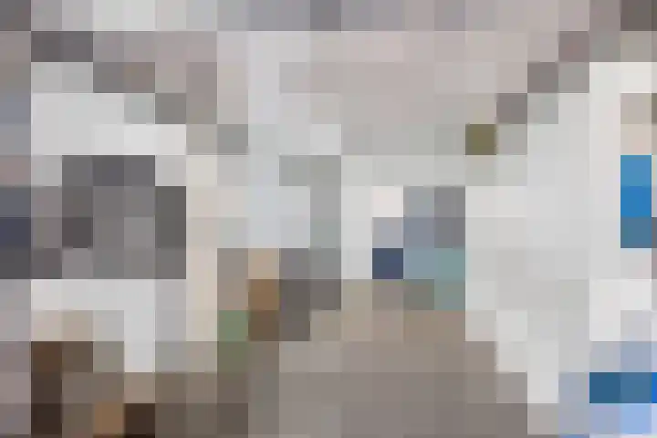 Aak 20 Gorredijk thumbnail 21