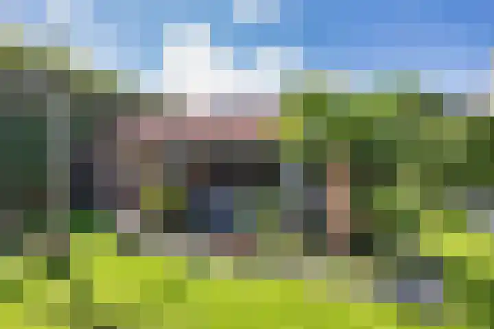 Aak 20 Gorredijk thumbnail 31