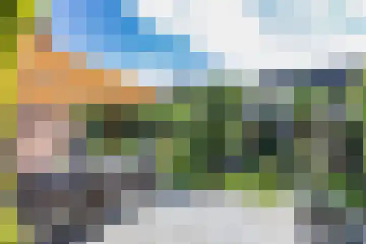 Aak 20 Gorredijk thumbnail 32