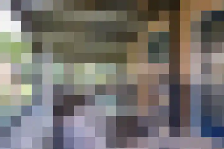 Aak 20 Gorredijk thumbnail 33