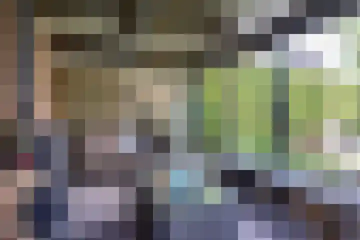 Aak 20 Gorredijk thumbnail 34