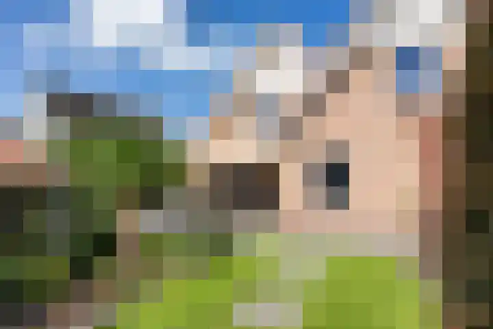 Aak 20 Gorredijk thumbnail 35