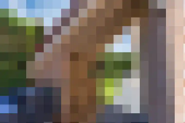 Aak 20 Gorredijk thumbnail 37