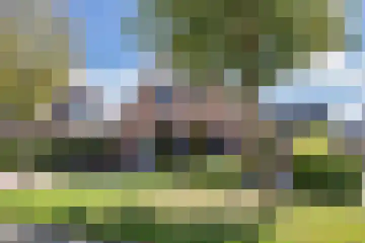 Aak 20 Gorredijk thumbnail 39