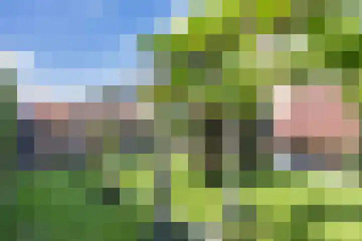Aak 20 Gorredijk thumbnail 4
