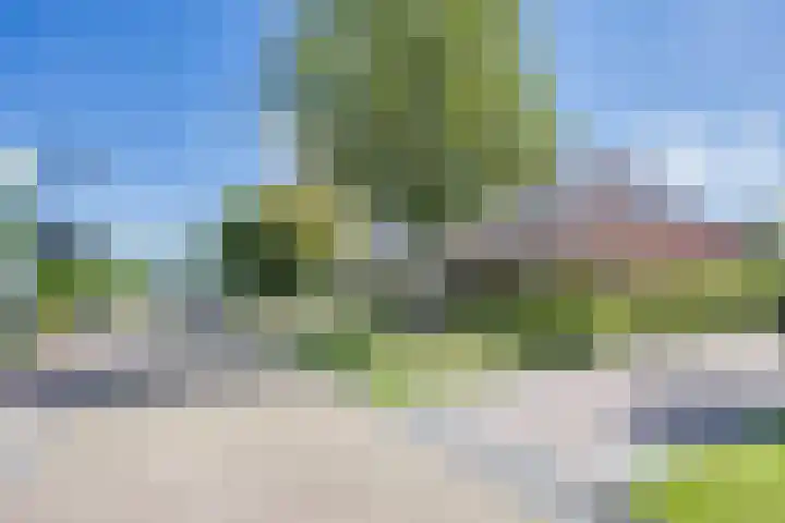 Aak 20 Gorredijk thumbnail 40