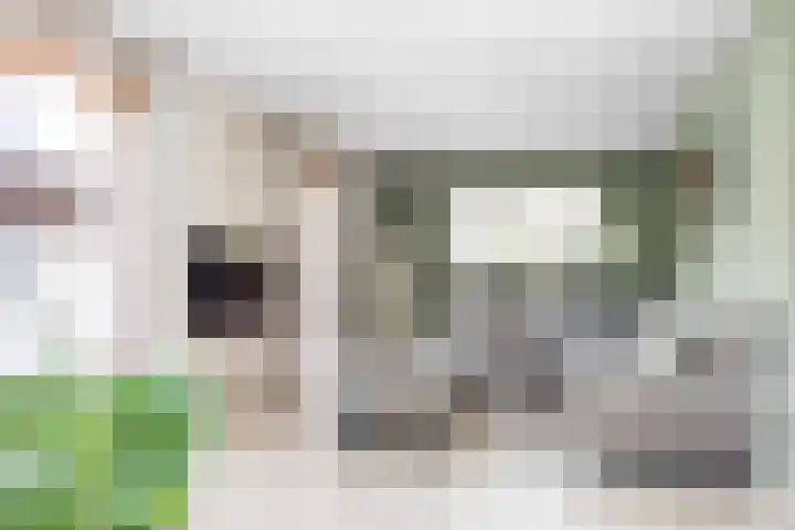 Aak 20 Gorredijk thumbnail 9